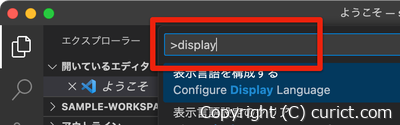 コマンドパレットに「display」と入力(拡大)