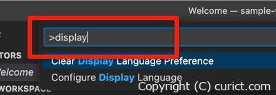 コマンドパレットに「display」と入力(拡大)