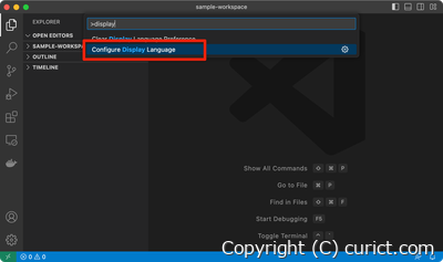 コマンド一覧 -> Configure Display Language