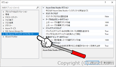 SSMS-メニュー-オプション画面