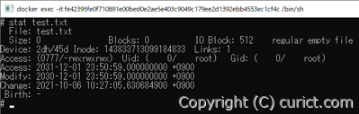 stat コマンドの実行例