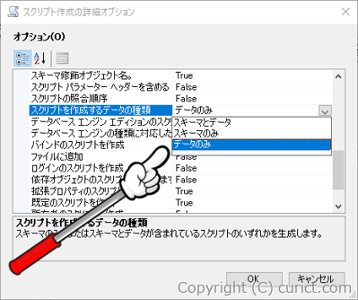 スクリプト作成の詳細オプション