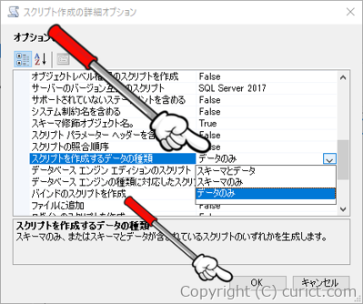 スクリプト作成の詳細オプション