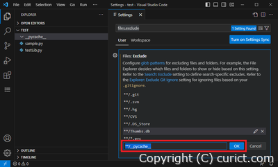 __pycache__フォルダの除外パターン入力